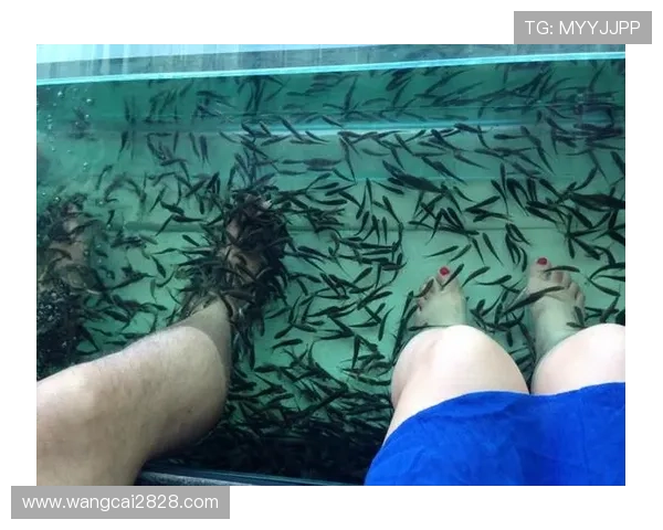 探索圣地亚哥娱乐天地：畅享精彩无限的休闲体验