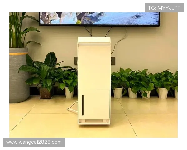 全面解析乐通LT118：性能特点与使用指南